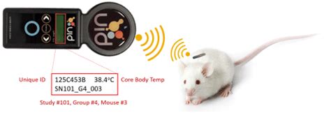 rfid chip mouse|mouse identification tool.